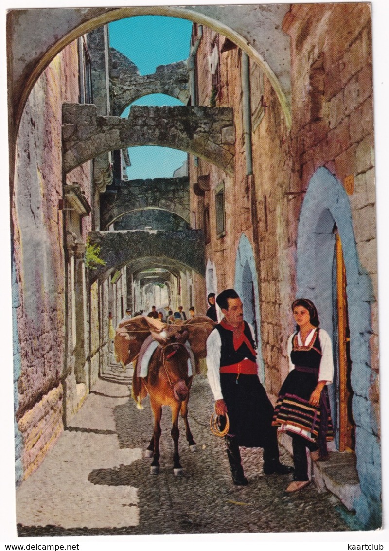 Rhodes / Rhodos - Old City / Altstadt - Donkey / Esel - Griekenland