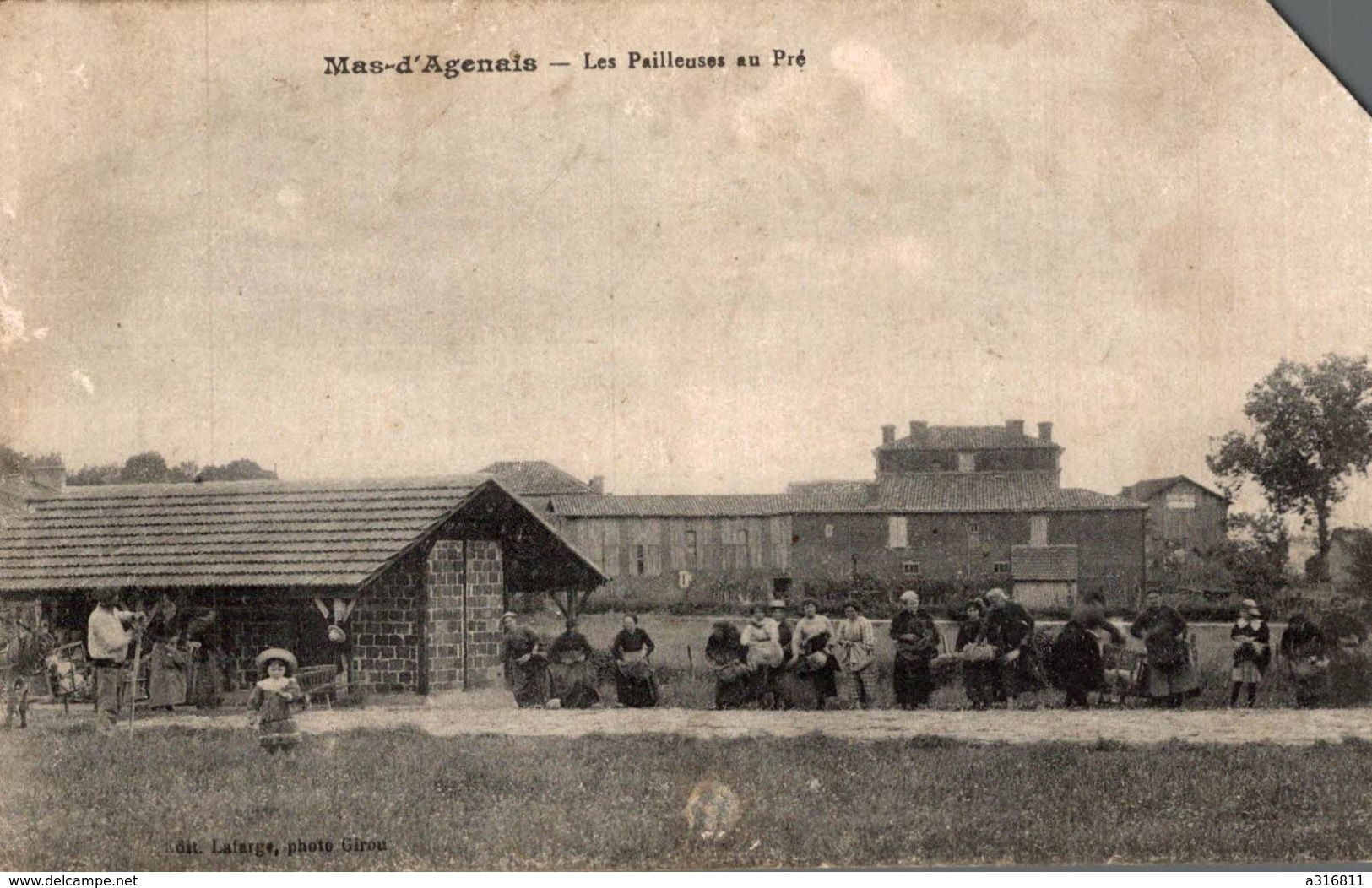 MAS D'AGENAIS LES PAILLEUSES AU PRE - Farmers