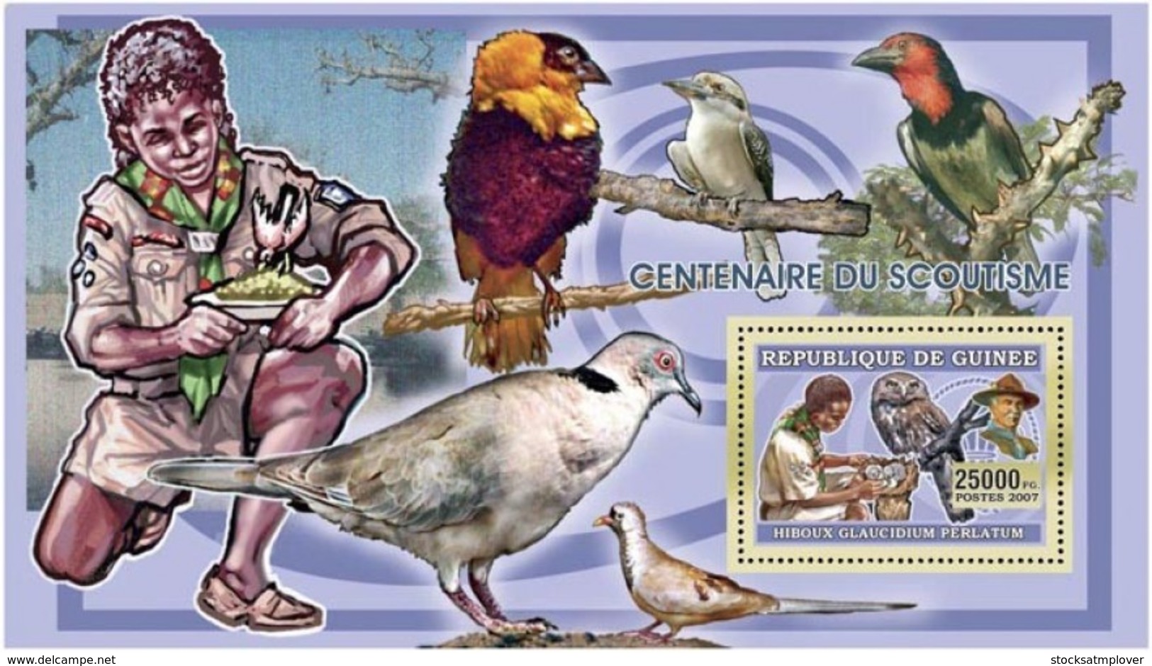 Guinea  2006 Scouts , Birds, Owls - Guinea (1958-...)