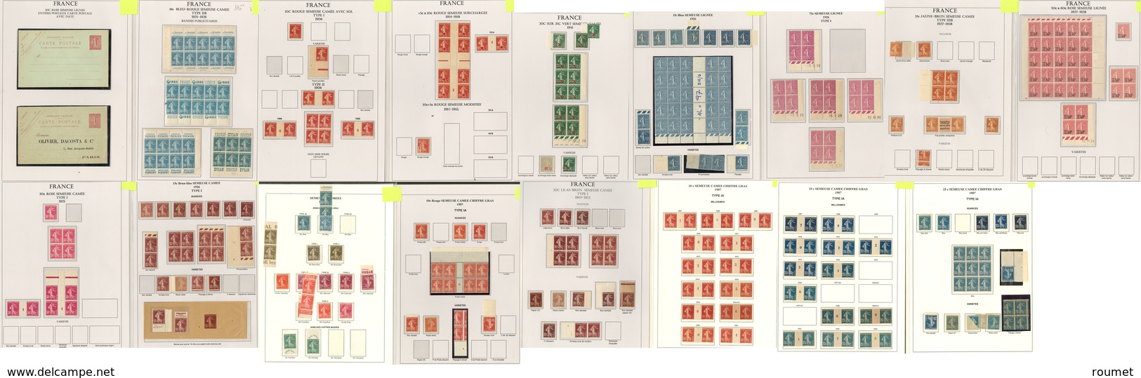 ** Semeuse. 1903-1939, Bel Ensemble De Types, Nuances, Blocs De Quatre, Cd, Mill., Petites Variétés, Etc., En 3 Classeur - Collections