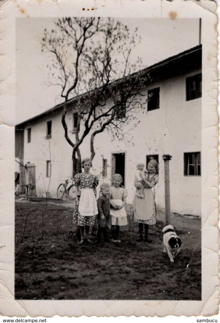 Foto Mit 5 Kindern Und Hund Vor Haus 1938 - Photographs