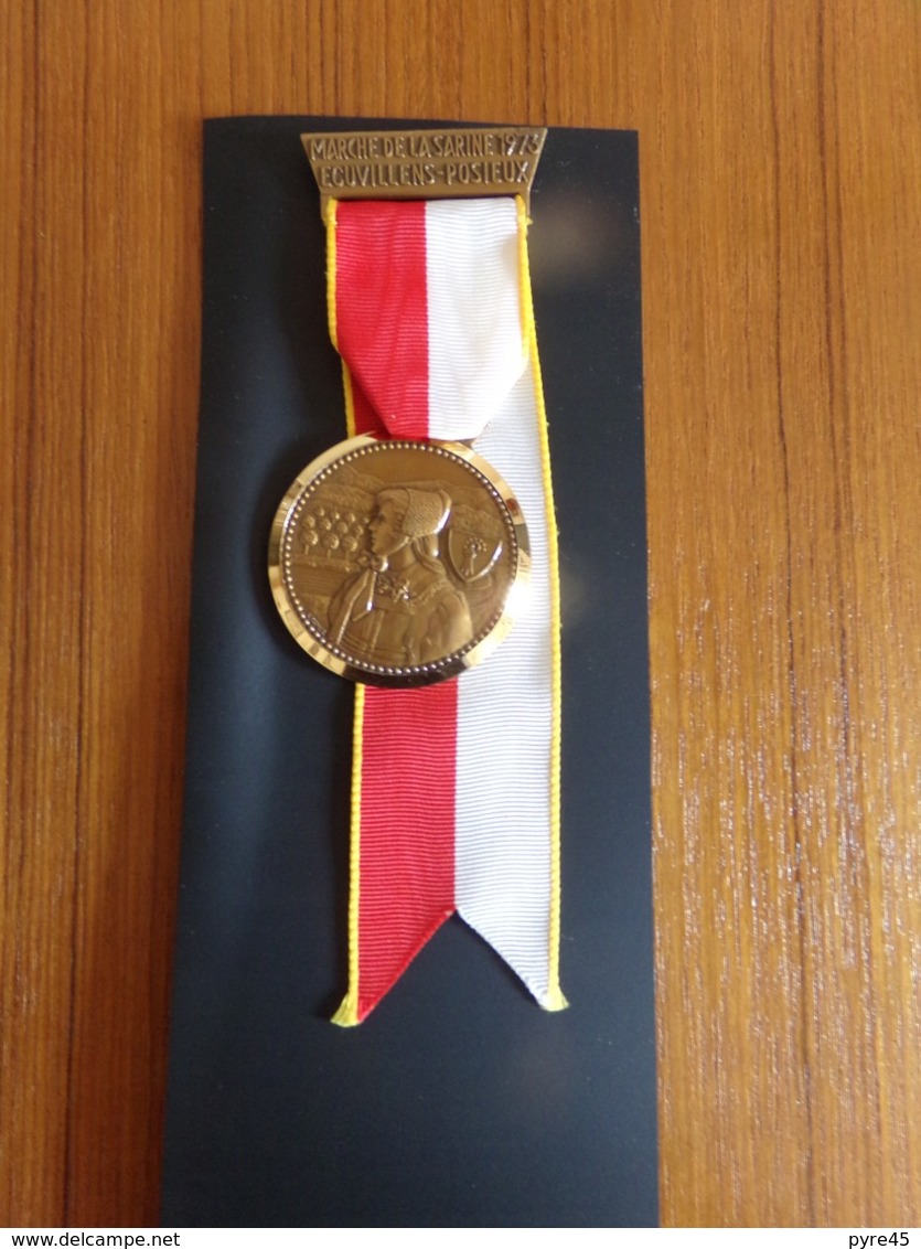 Suisse Médaille En Bronze Avec Ruban " Marche De La Sarine 1976, Ecuvillens-Posieux  " Les Costumes Nationaux Bale - Autres & Non Classés