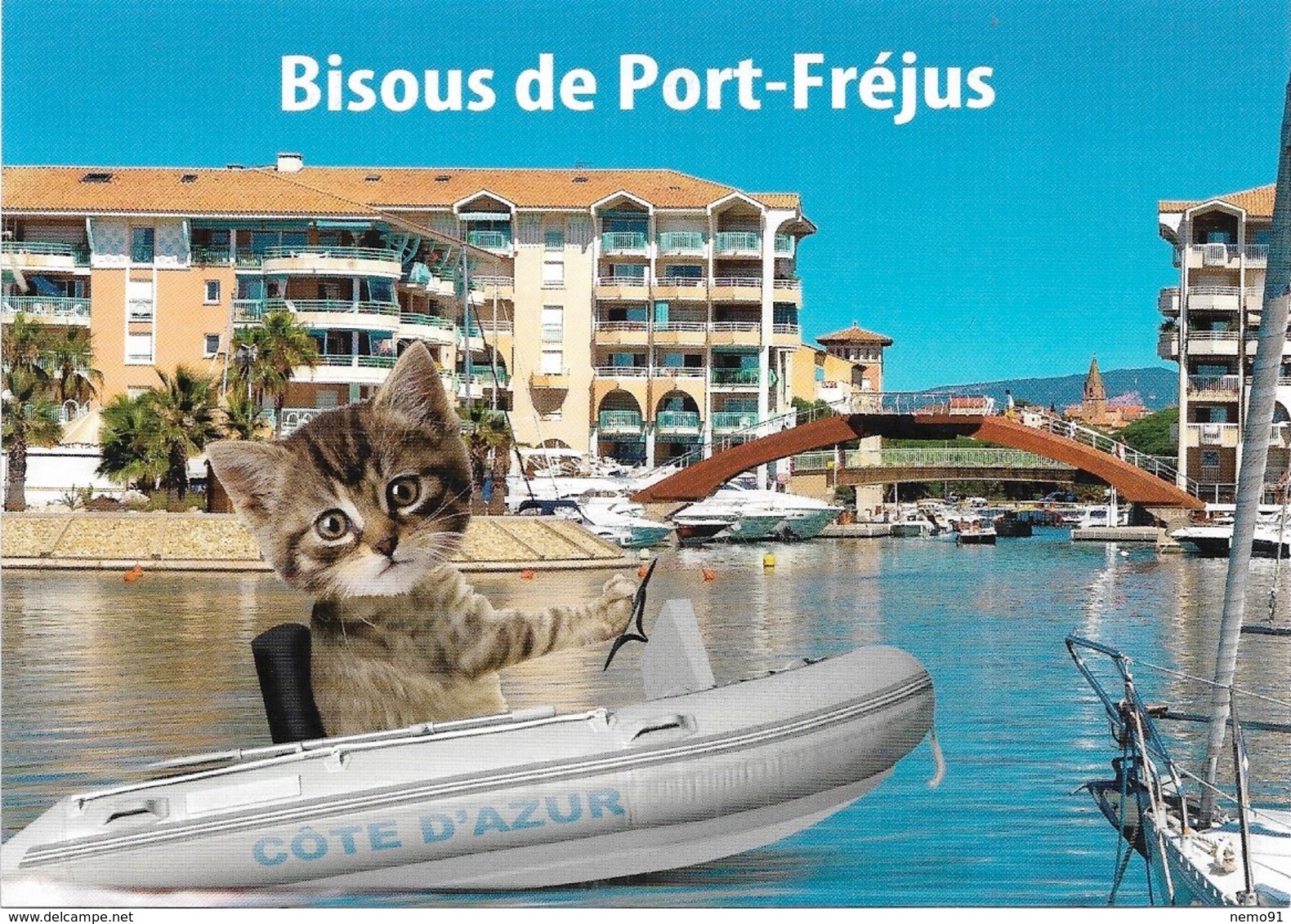 CHATS - 1 PETIT CHAT DANS UN BATEAU - BISOUS DE PORT-FRÉJUS - CPM - VIERGE - - Cats