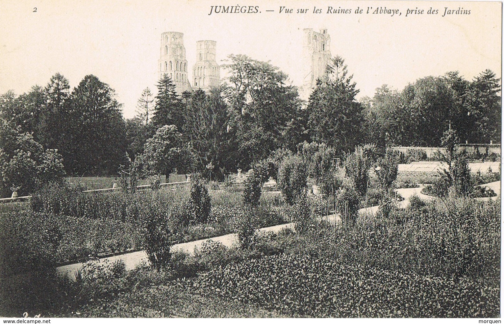 33853. Postal JUMIEGES (seine Maritime). Ruines De L'abbaye, Prise Des Jardins - Jumieges