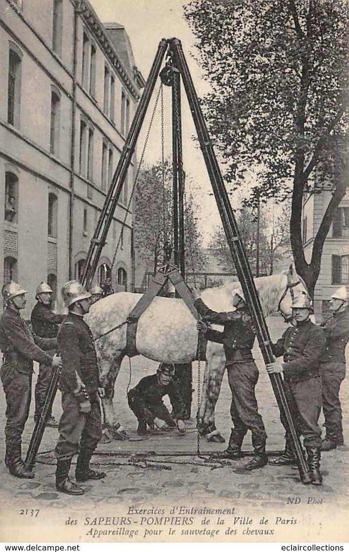 Thème.  Métier     Pompiers    Paris  75  Appareil Pour Le Sauvetage Des Chevaux    (Voir Scan) - Otros & Sin Clasificación