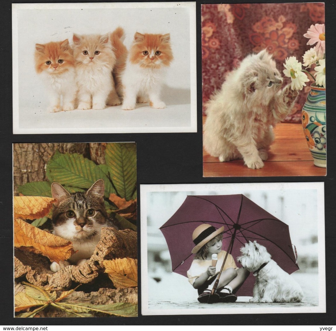 Lot De 4 Calendriers De Poche Avec Chats Ou Chatons Années 1 De 1989 , 1 De 1990 , 1 De 1991 Et 1 De 1995 - Petit Format : 1981-90