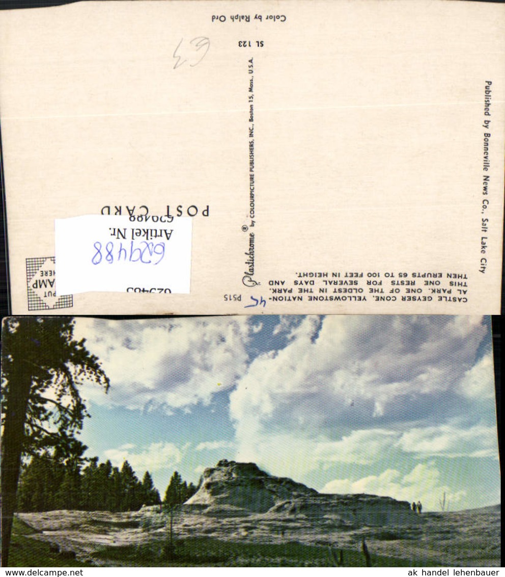 629488,Castle Geyser Cone Yellowstone National Park Wyoming - Ohne Zuordnung