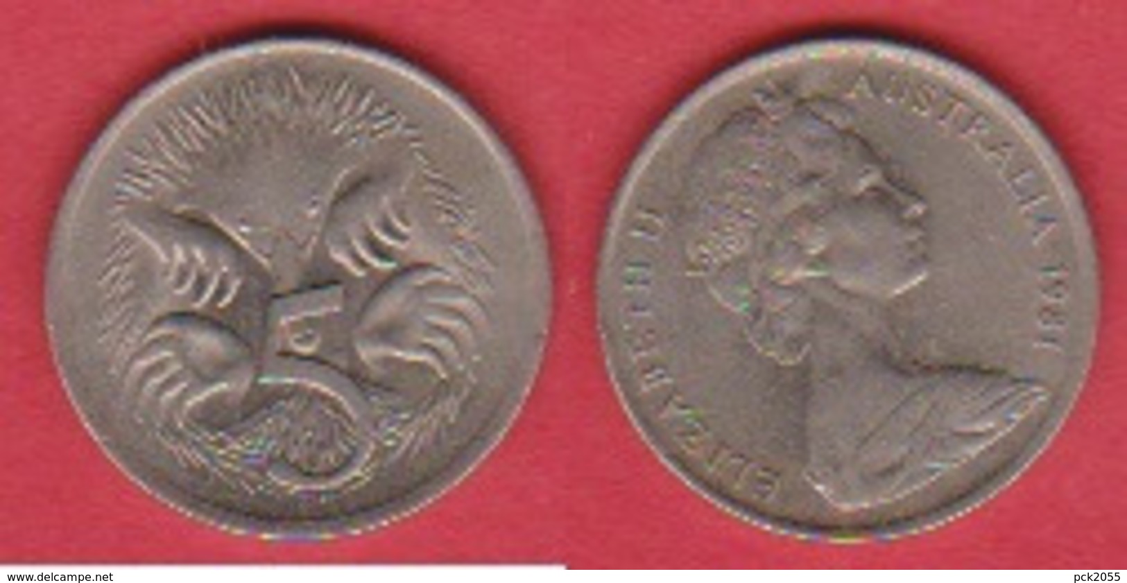 Australien 5 Cents 1981 K-N Kurzschnabeligel Schön Nr.51 KM 54 - 5 Cents