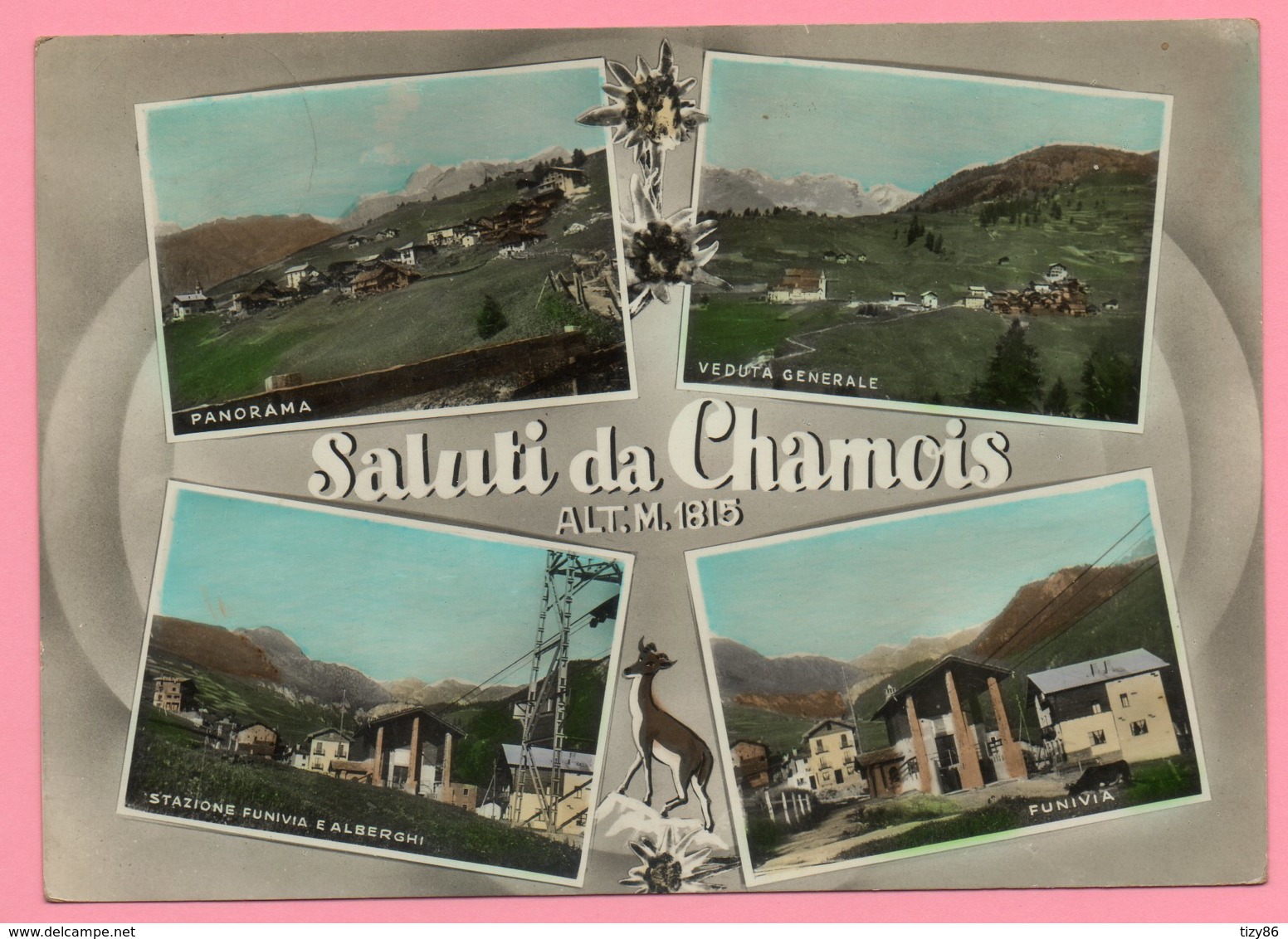 Saluti Da Chamois - Altri & Non Classificati