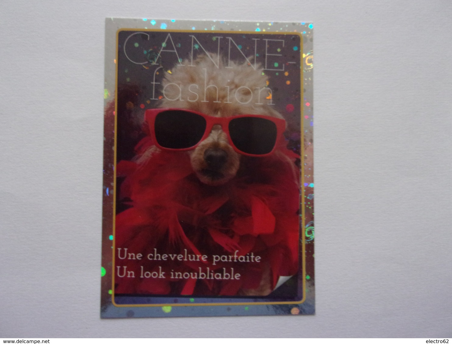 PANINI ANIMAL WORLD Animaux N°83 Chien Dog Hund Perro Kutya - Edition Française