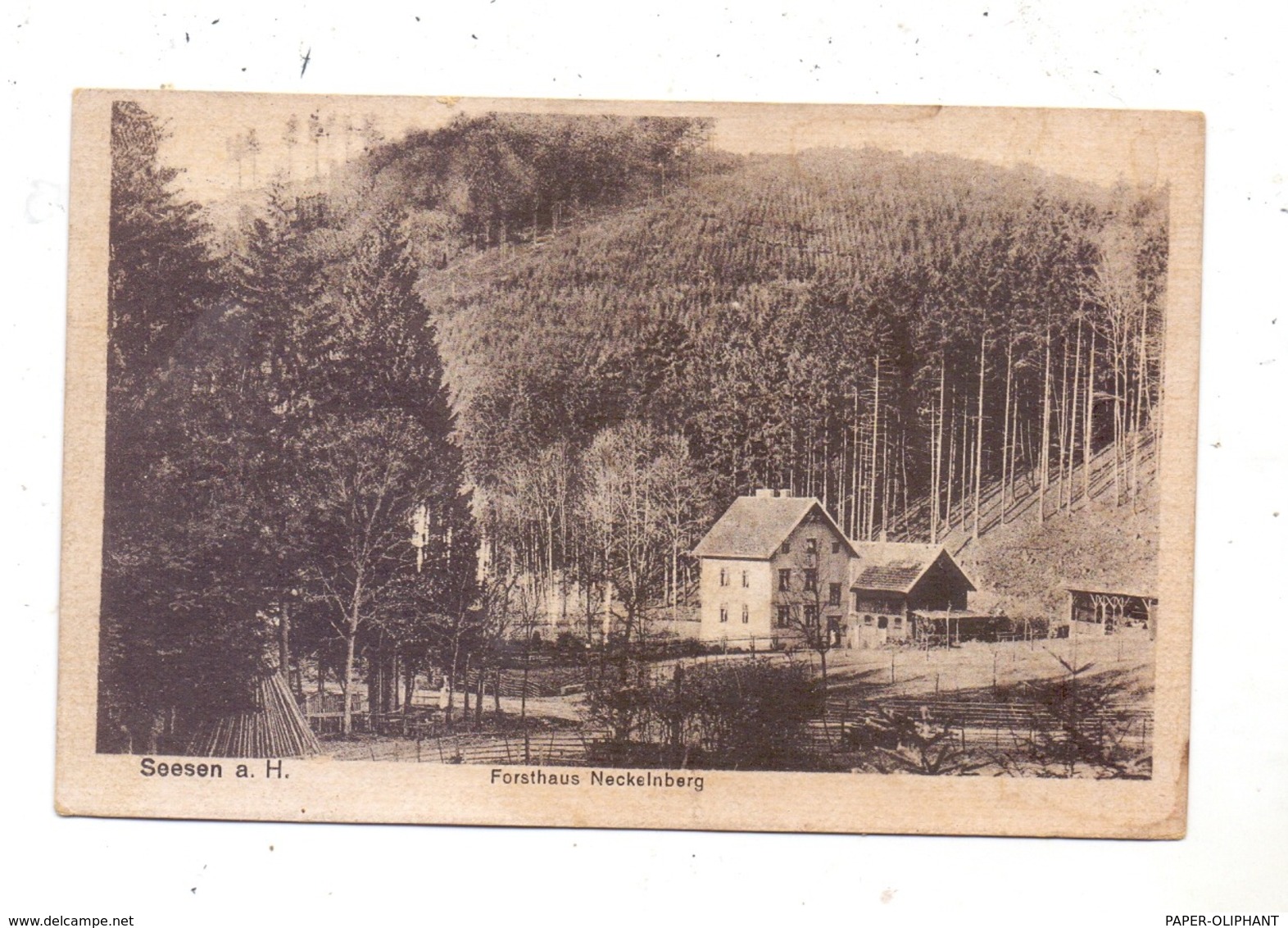 3370 SEESEN, Forsthaus Neckelnberg, 1920 - Seesen