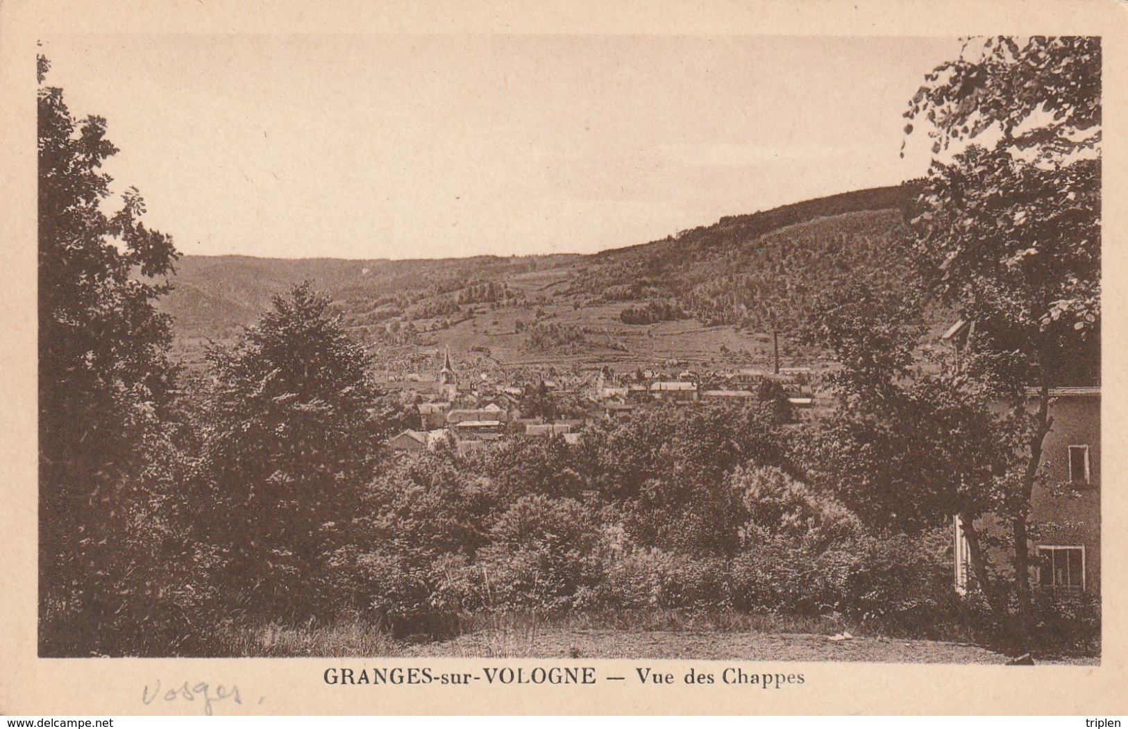 Granges - Vue Des Chappes - Granges Sur Vologne