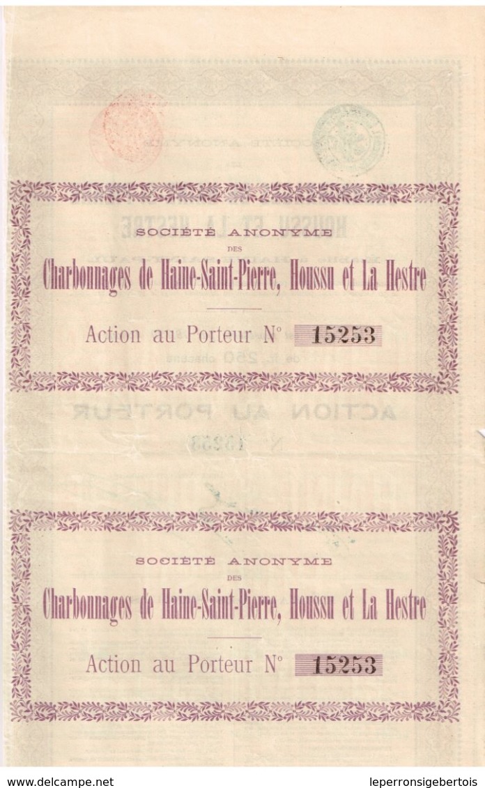 Action Ancienne - Sté Anonyme Des Charbonnages De Haine-St-Pierre Houssu Et La Hestre - Titre De 1905 - Rare - Mines