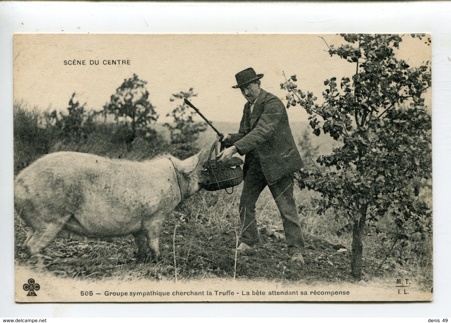 MTIL Truffe Cochon  Scène Du Centre - Centre-Val De Loire