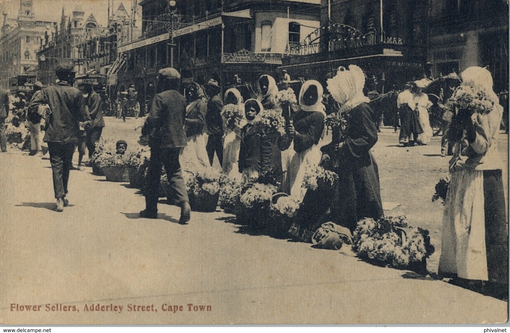 SUDAFRICA , TARJETA POSTAL NO CIRCULADA  , FLOWER SELLERS , ADDERLEY STREET , CAPE TOWN , MERCADO , MARKET - Marktplaatsen