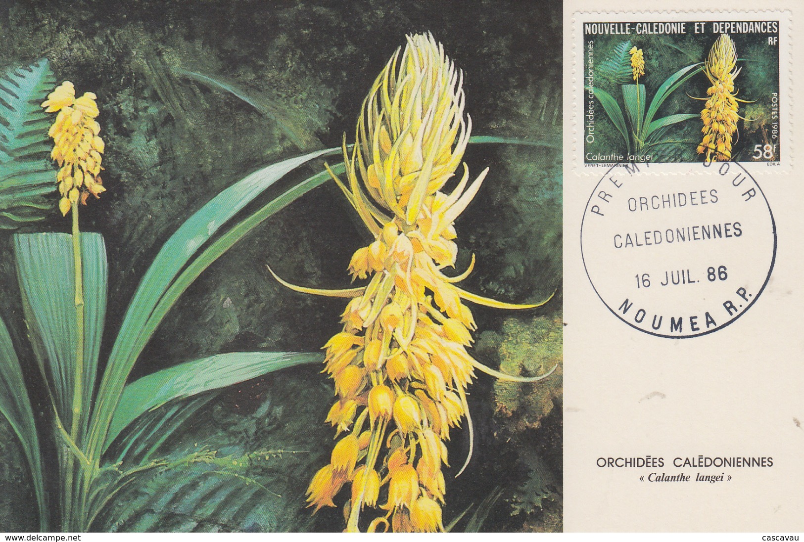 Carte  Maximum  1er Jour   NOUVELLE CALEDONIE   Orchidée  Calédonienne   1986 - Cartoline Maximum