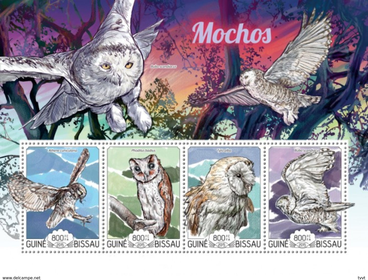 Guinea-Bissau, 2015. [gb15203] Birds, Owls (s\s+block) - Owls