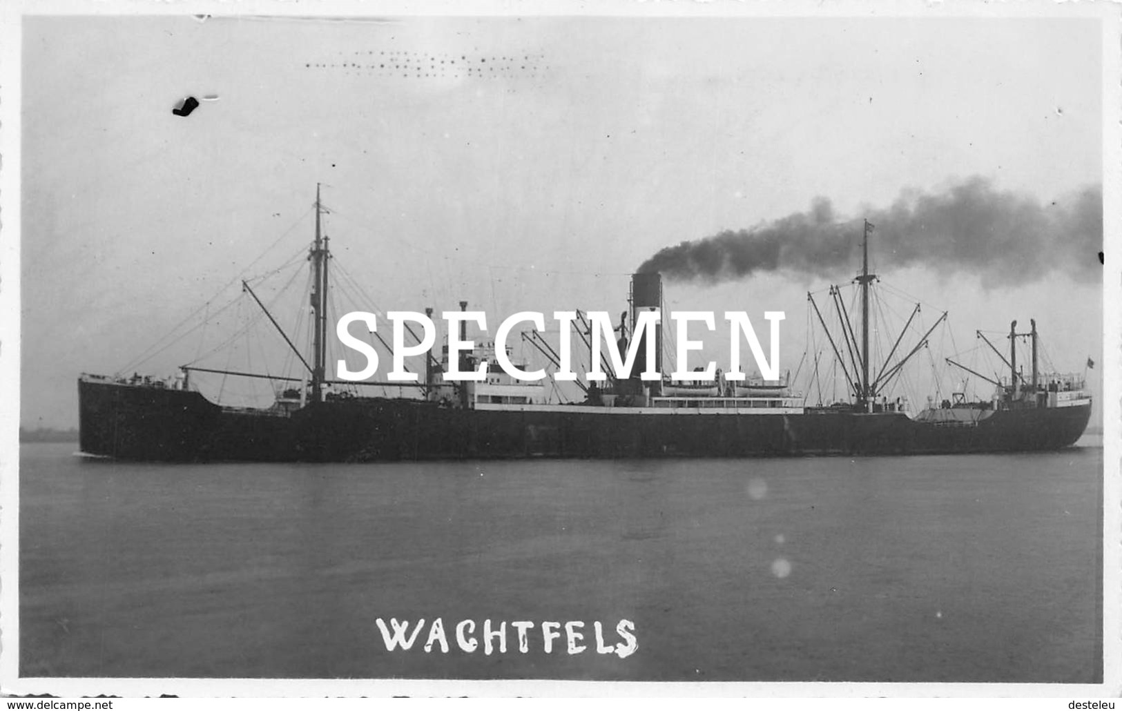 Wachtfels Photo Postcard - Cargos