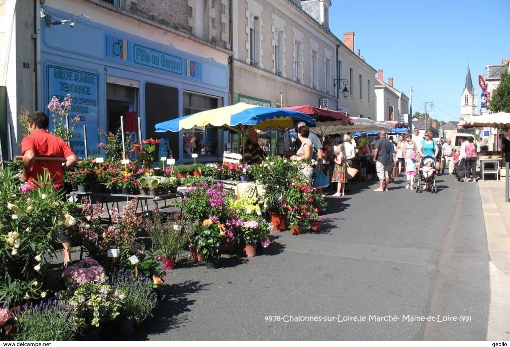 Chalonnes-sur-Loire (49)- Marché (Edition à Tirage Limité) - Chalonnes Sur Loire