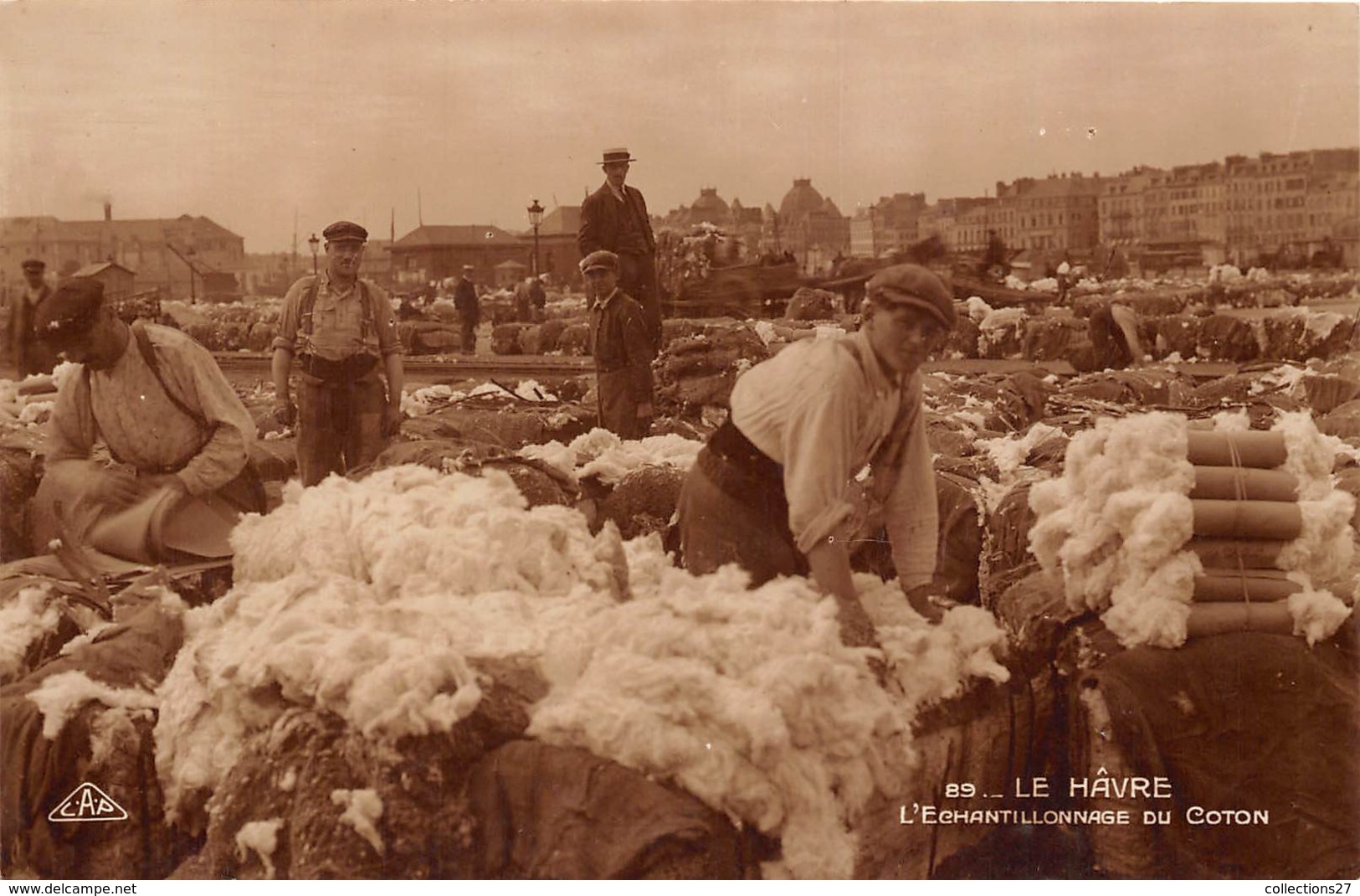 76-LE HAVRE- CARTE-PHOTO- L'ECHANTILLONNAGE DU COTTON - Harbour