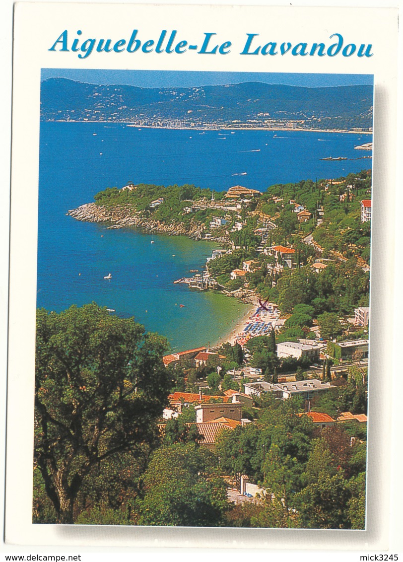 .306 Auvergne Sur Carte Postale  Du Lavandou - Autres & Non Classés