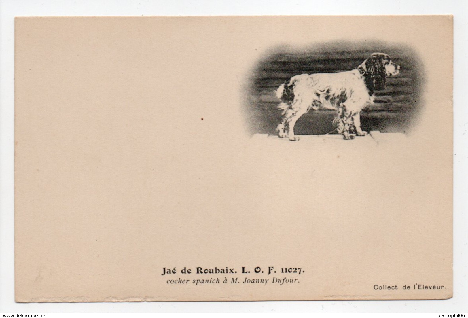 - CPA CHIENS - Jaé De Roubaix L. O. F. 11027 - Cocker Spanich à M. Joanny Dufour - Collection De L'Eleveur - - Hunde