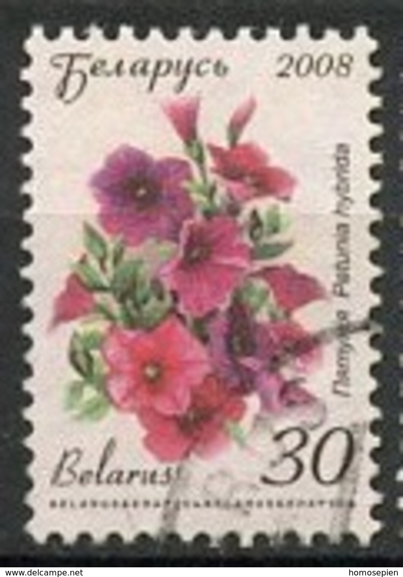 Biélorussie - Weißrussland - Belarus 2008 Y&T N°624 - Michel N°713 O - 30r Pétunia - Belarus
