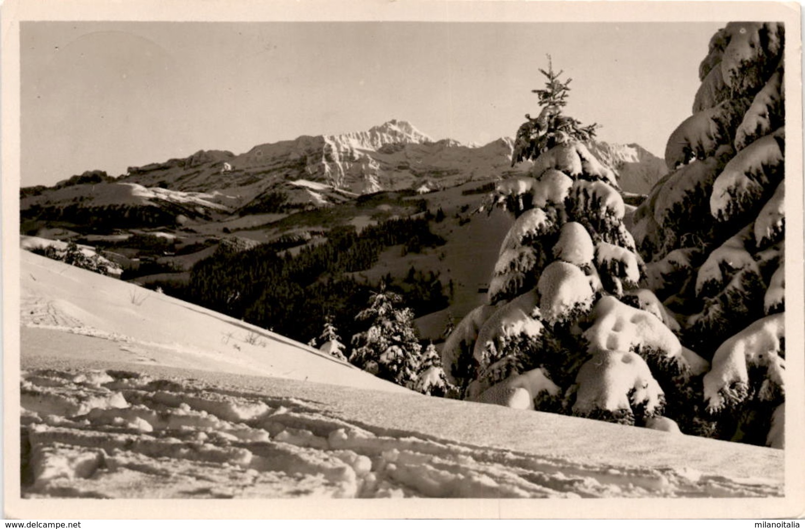 Skigelände Am Fuchsack (Blick Auf Säntis) * 4. 1. 1936 - Sonstige & Ohne Zuordnung