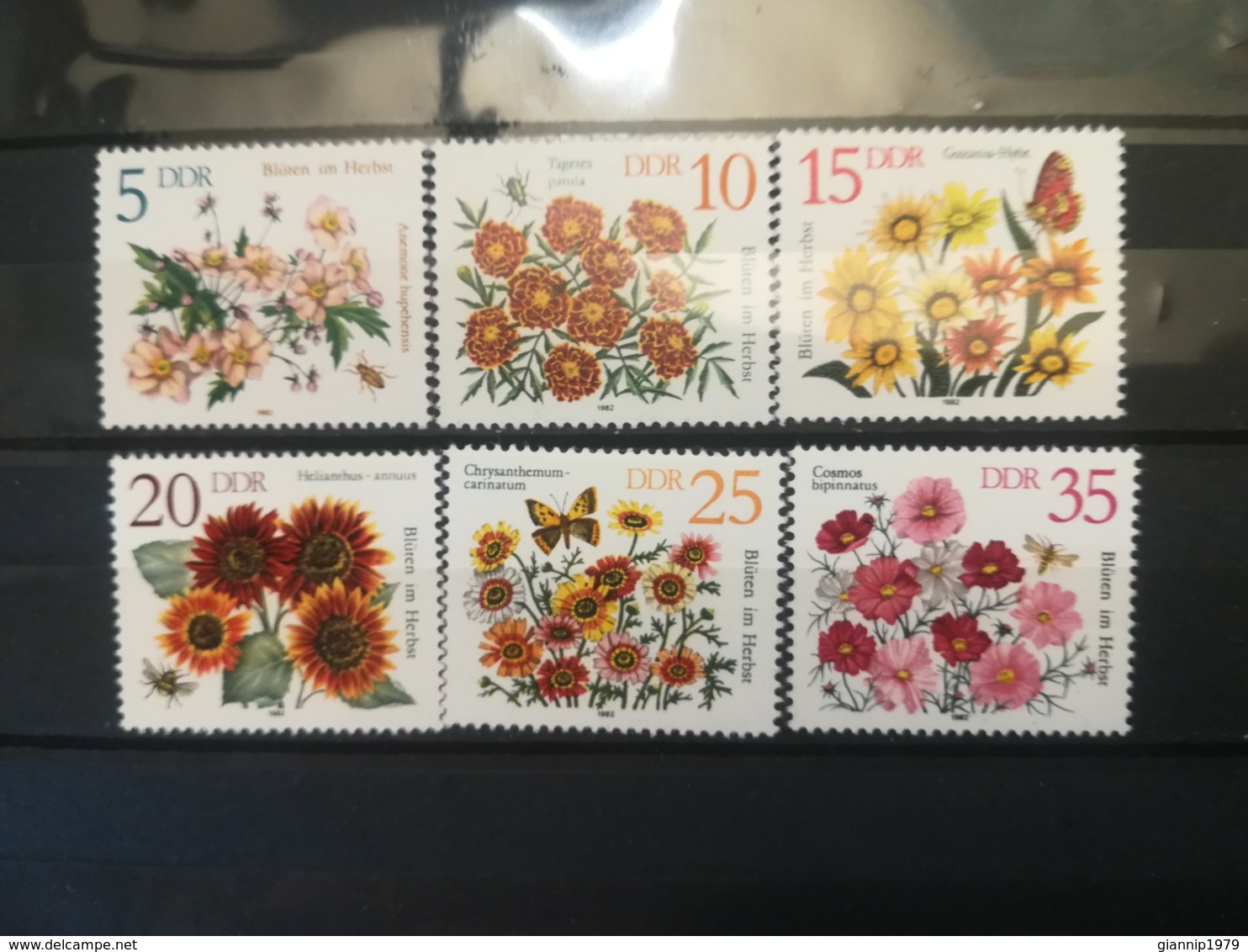 FRANCOBOLLI STAMPS GERMANIA DEUTSCHE DDR 1982 MNH** NUOVI SERIE COMPLETA FIORI AUTUNNO FLOWERS GERMANY - Nuovi