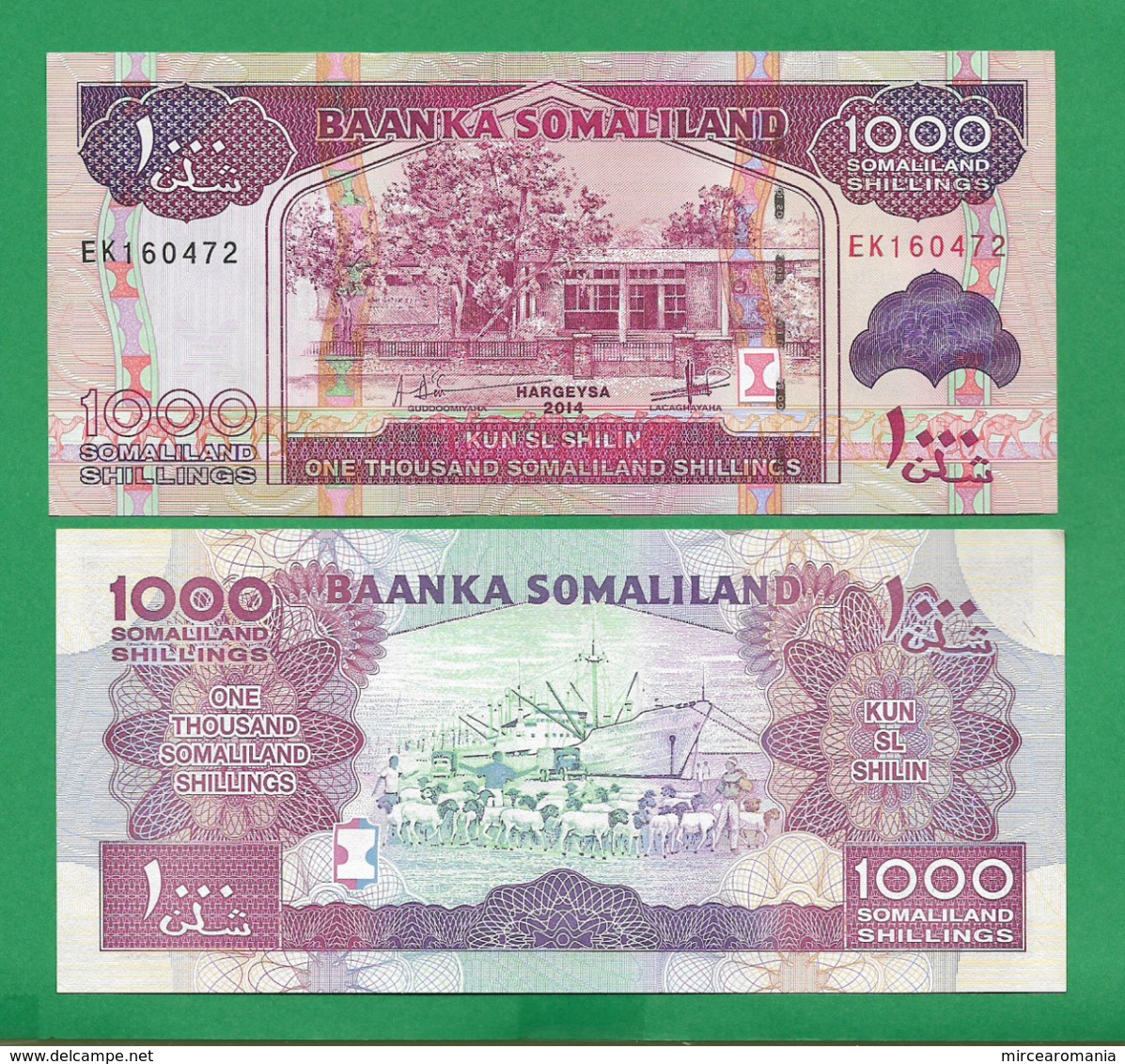 SOMALILAND - 1000 SHILLINGS - 2014 - UNC - Somalië