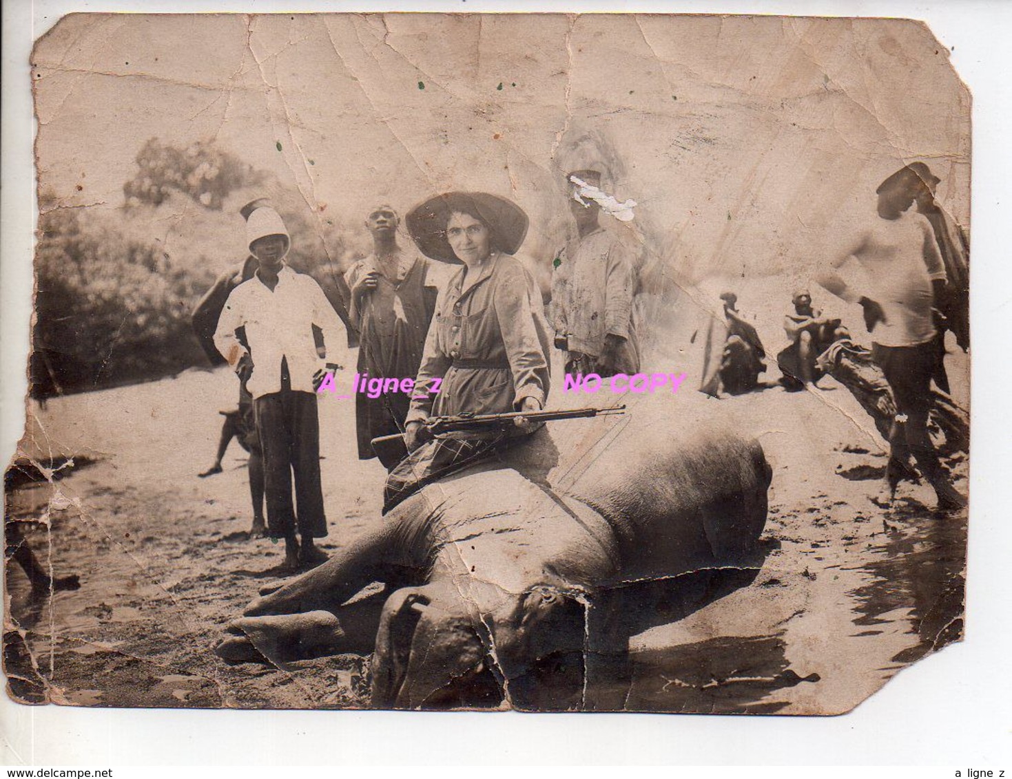 REF EX2 : Photo Originale Ancienne 17,5  X 12,5 Chasse Chasseuse D'Hippopotame Faranah Guinée Afrique Chasseur Colonial - Afrique