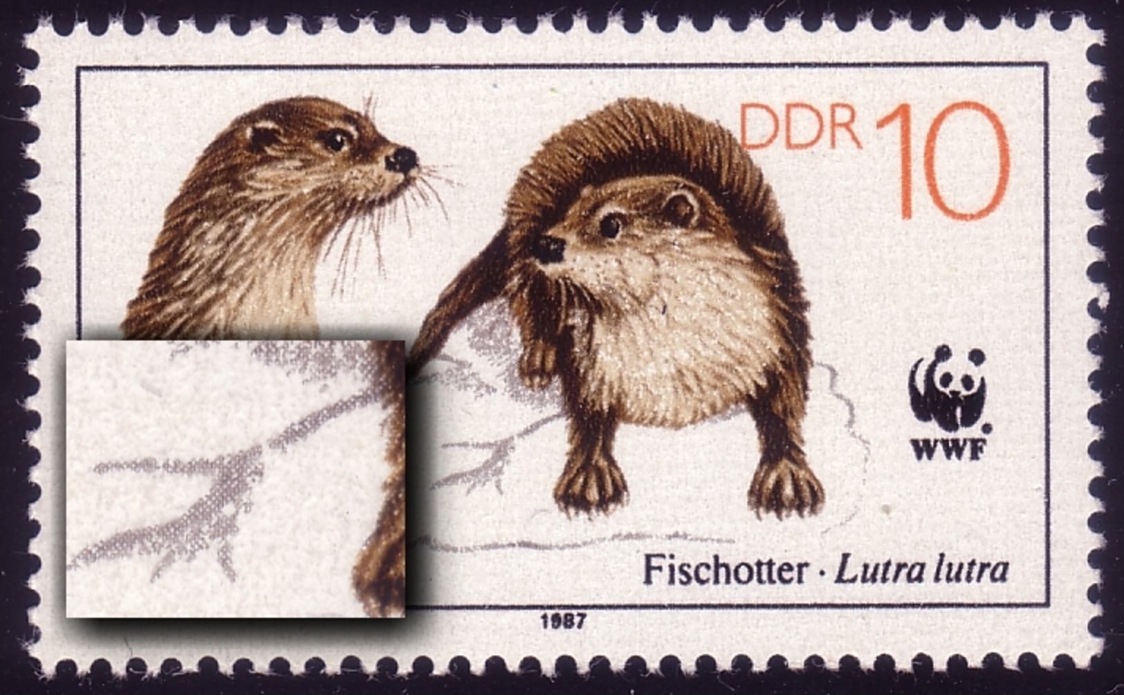 3107I Fischotter 10 Pf: Bruch Der Fußspur, Feld 30, ** - Variétés Et Curiosités