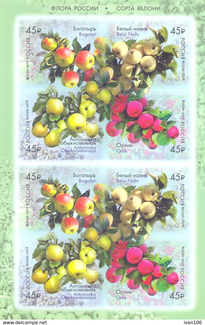 2019. Russia, Flora Of Russia, Apples Varieties, Sheetlet,  Mint/** - Nuovi