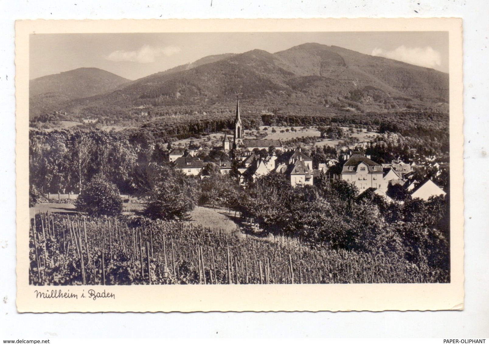 7840 MÜLLHEIM / Baden, Ortsansicht 1955 - Muellheim