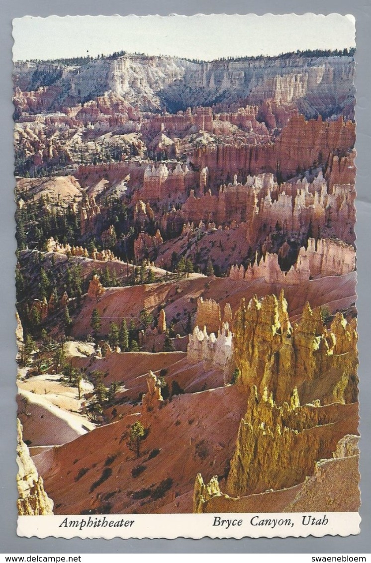 US.- BRYCE CANYON, NATIONAL PARK UTAH. AMPHITHEATER. Ongelopen. - Bryce Canyon