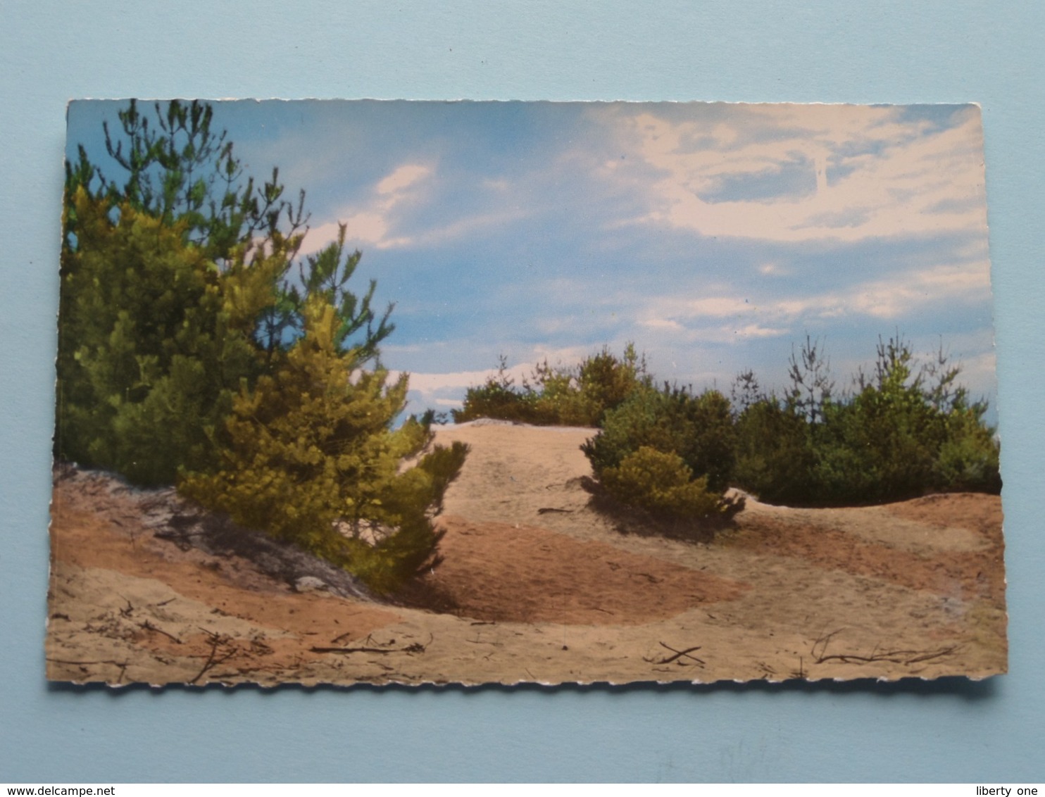 Kasterlee, Duinen Aan De Zwarte Berg ( Uitg. Copyright E. Beersmans ) Anno 19?6 ( Zie/voir Photo ) ! - Kasterlee