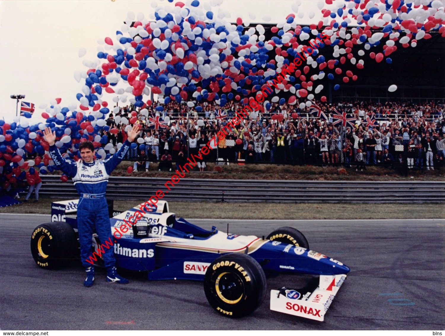 Damon Hill World Champion 1996 Williams-Renault - Original Press Photo - Format 24x17,5cm - Automobile - F1