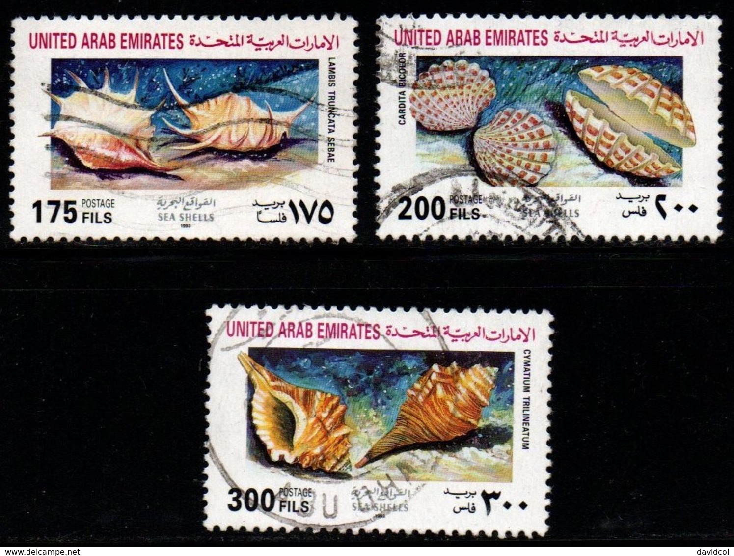 S208.-. UNITED ARAB EMIRATES - 1993 - SC#: 423// 426 - USED - SHELLS - United Arab Emirates (General)