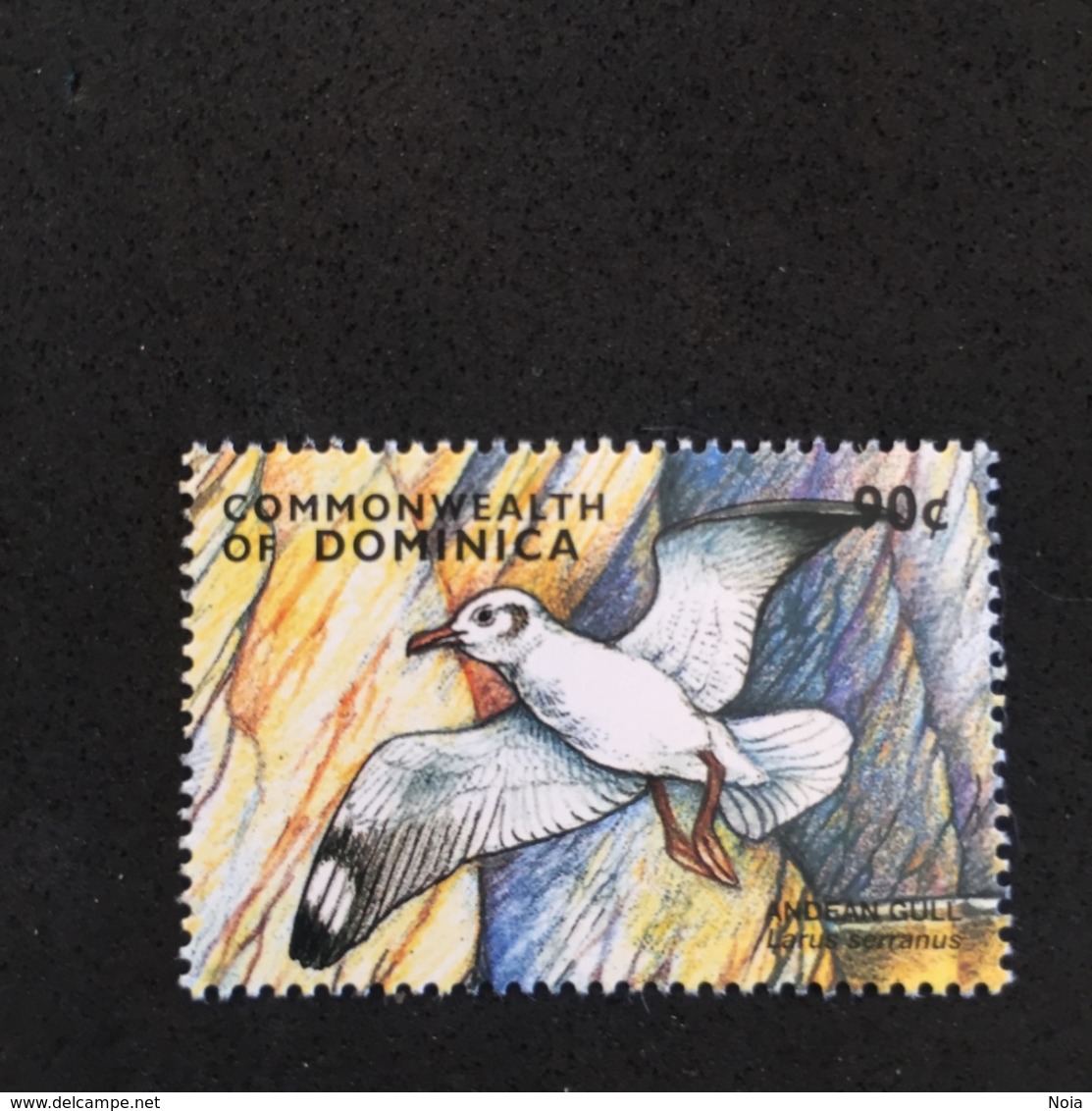 COMMONWEALTH OF DOMINICA. BIRD. MNH 5R0506D - Albatros