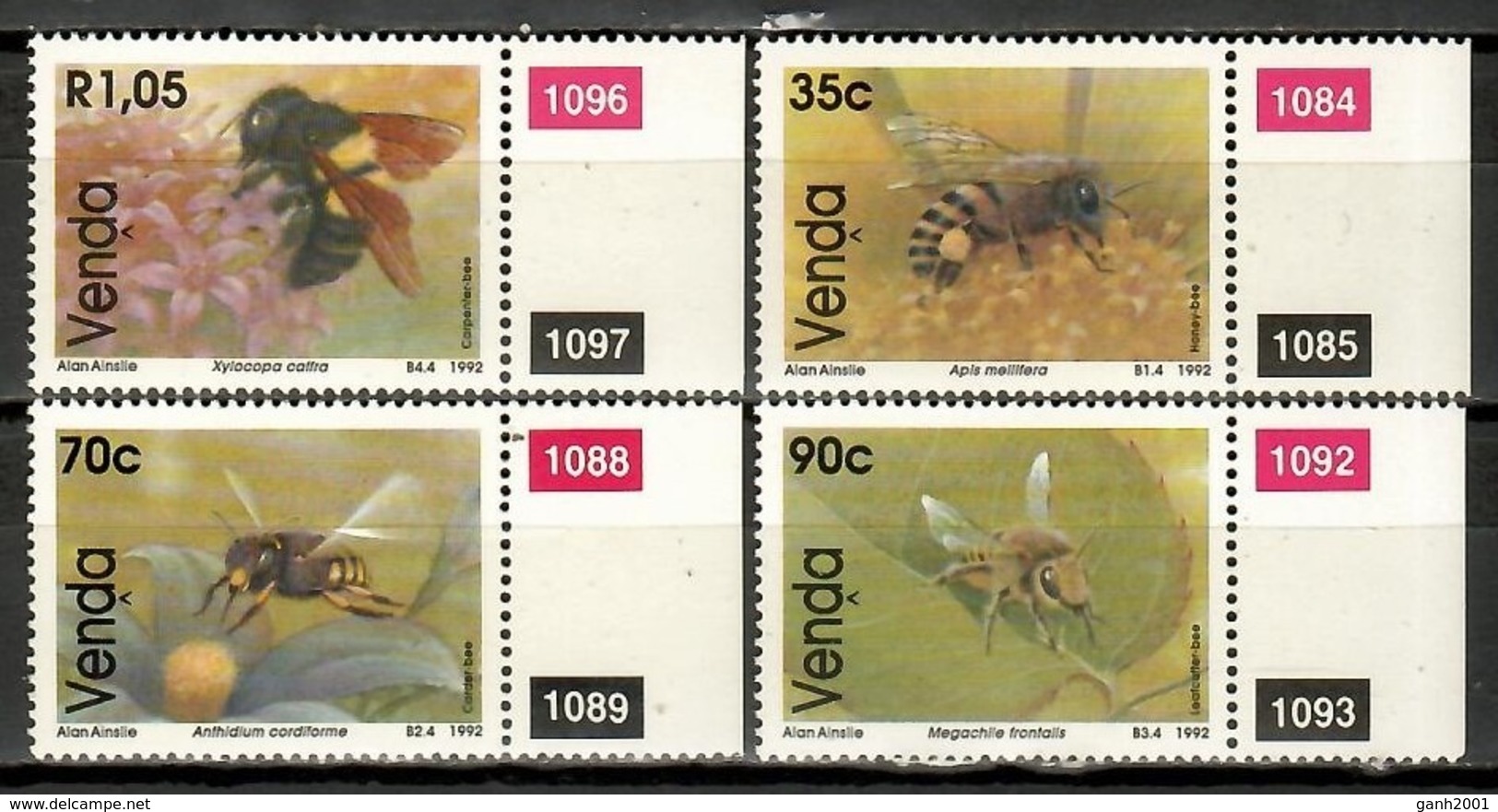 Venda 1992 / Insects Bees MNH Insectos Abejas Insekten Bienen Insekten / Cu12020  36-18 - Abejas