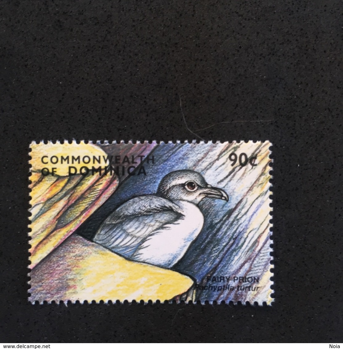 COMMONWEALTH OF DOMINICA. BIRD. MNH 5R0506F - Albatros