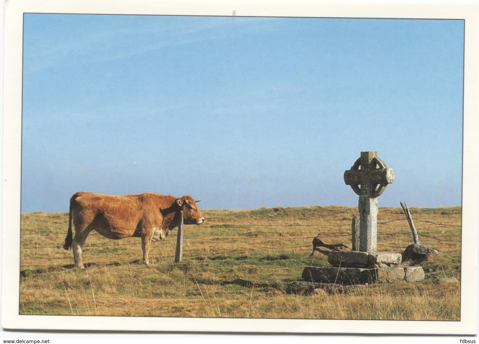 Aubrac - Croix De La Rode Sur Le Chemin De St Jacques - Ed D Pignol 696 - Avec Vache  Koe  Cow - Autres