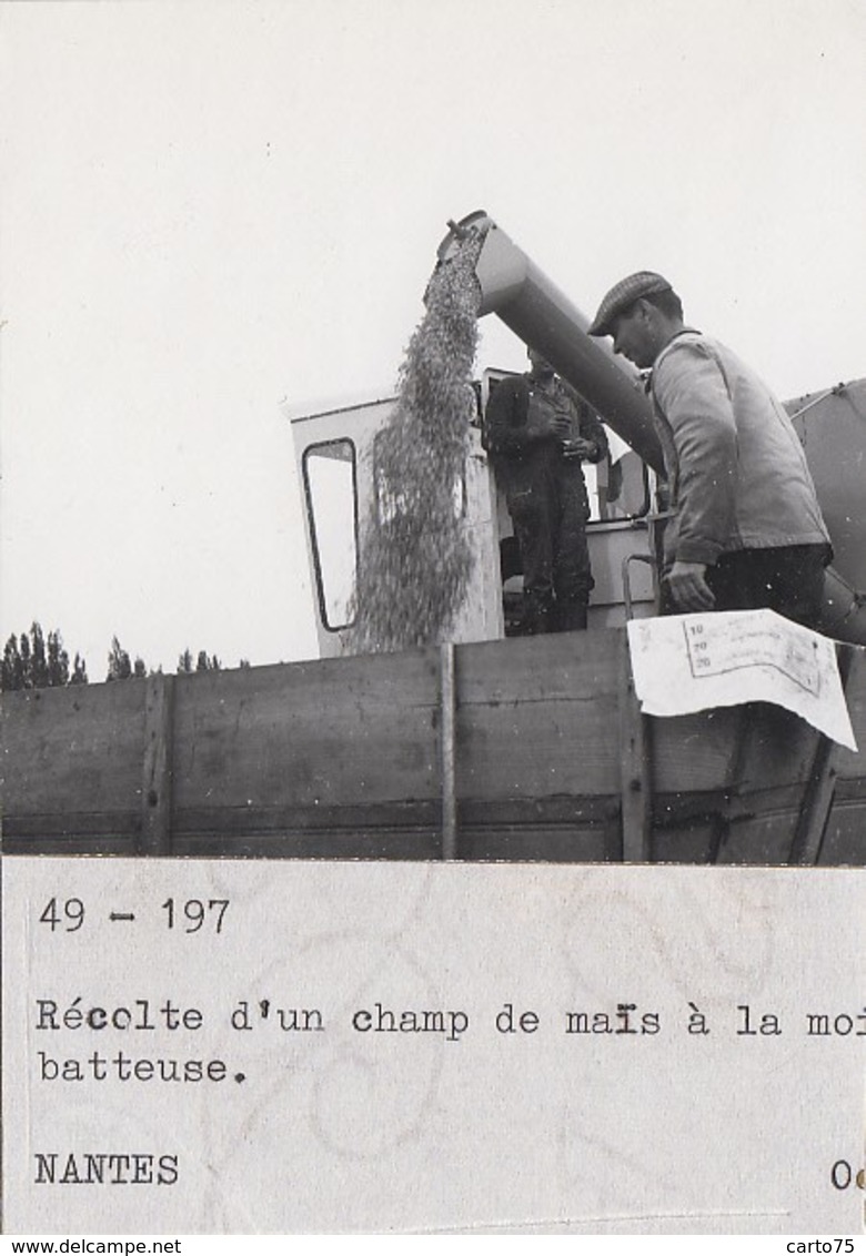 Agriculture - Matériel Agricole Moissonneuse-batteuse - Photographie - Maine Et Loire 49 - Lot De 5 Photos - Tracteurs