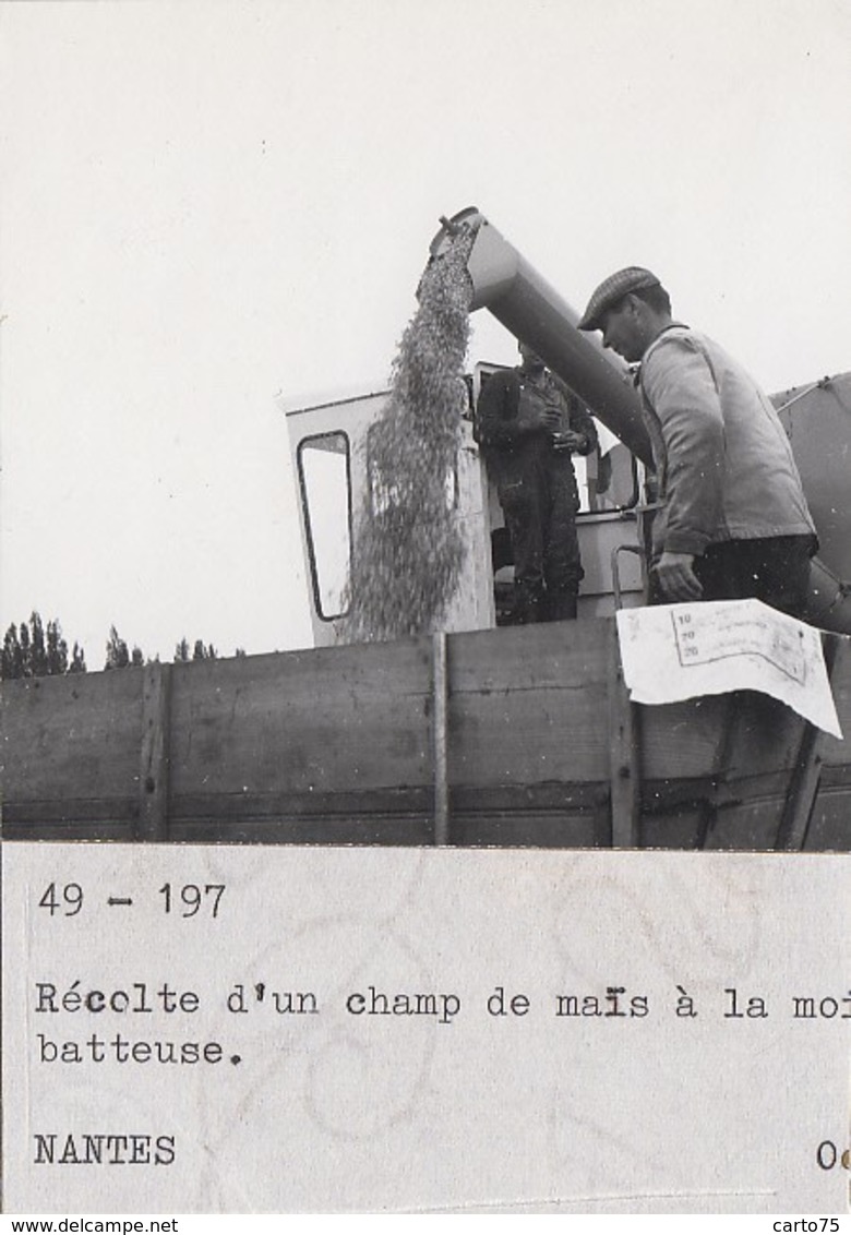 Agriculture - Matériel Agricole Moissonneuse-batteuse - Photographie - Maine Et Loire 49 - Lot De 5 Photos - Trattori