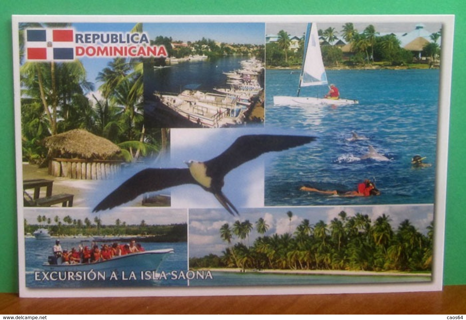 Republica Domenicana Saona Island - Uccelli  CARTOLINA Non Viaggiata - República Dominicana