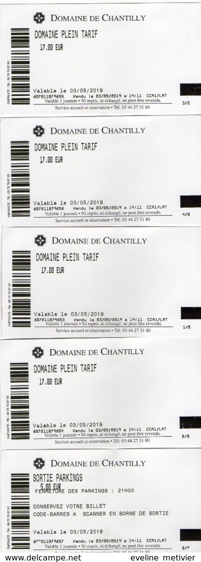 TICKETS DOMAINE DE CHANTILLY - Tickets D'entrée