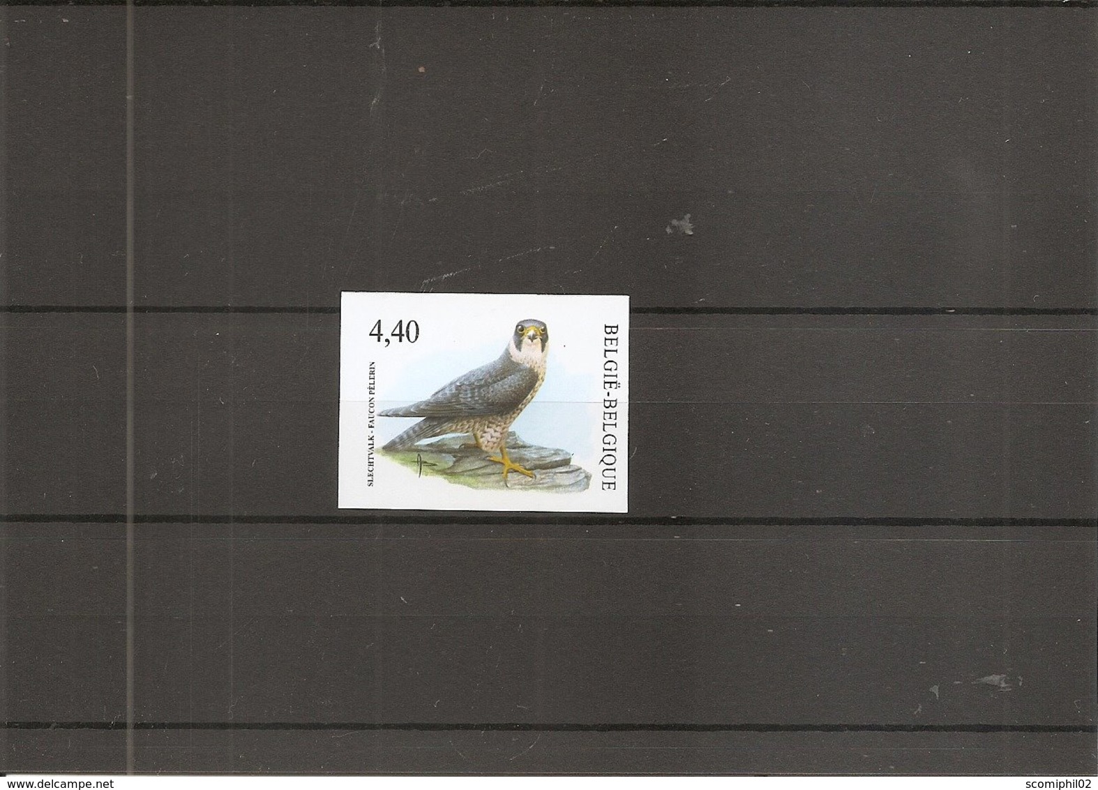 Belgique - Oiseaux - Buzin ( 3751 Non Dentelé) - Other & Unclassified