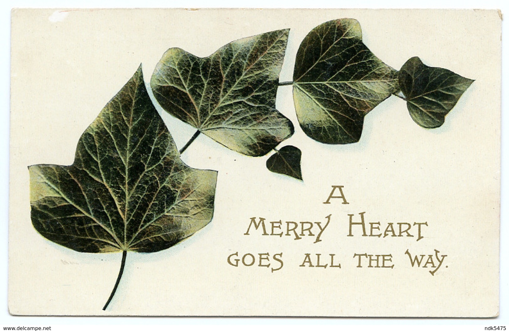 A MERRY HEART GOES ALL THE WAY : IVY - Compleanni
