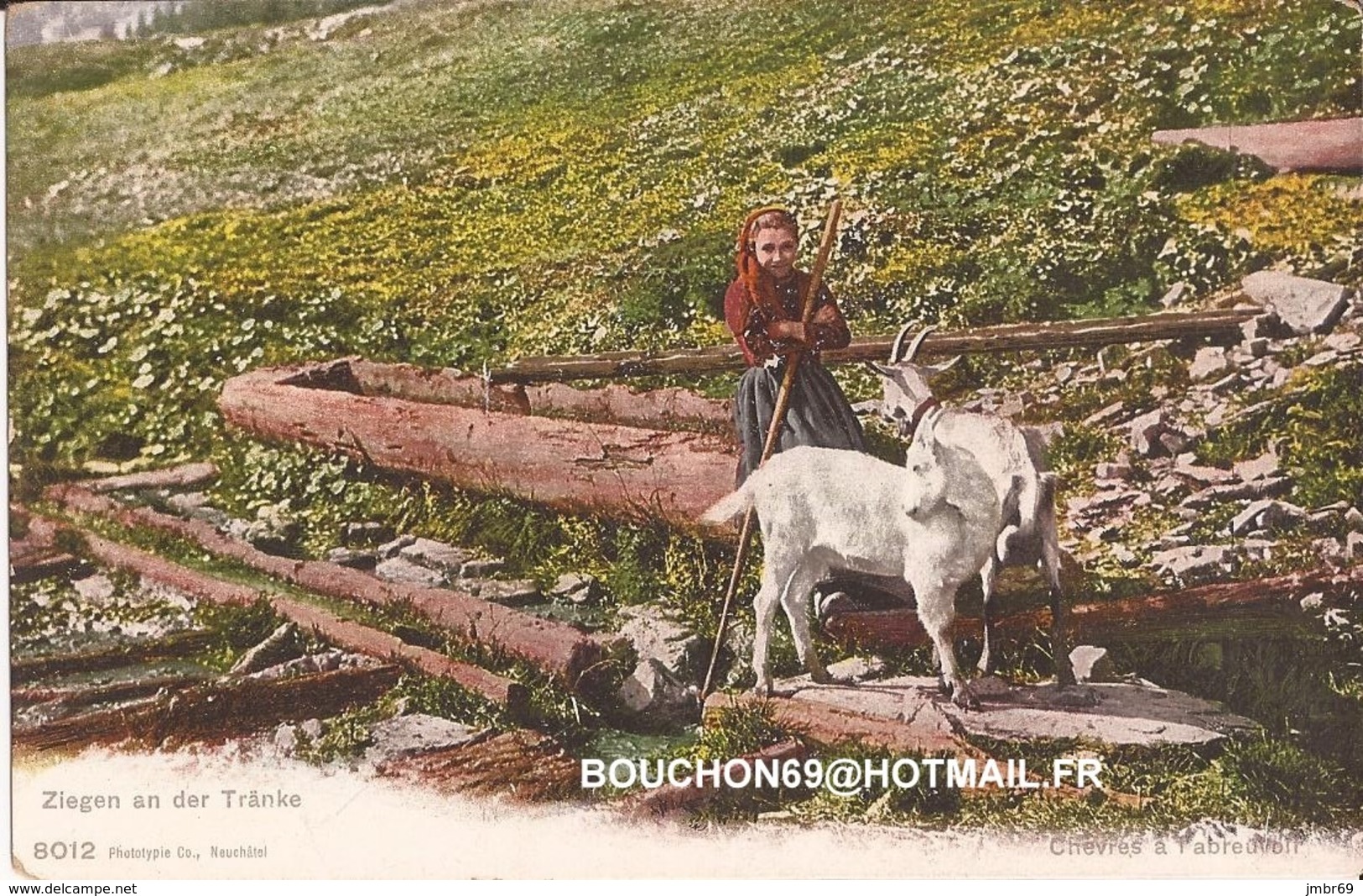 Suisse - Champery - Ziegen An Der Tranke Ziege Goat Chevre - Champéry