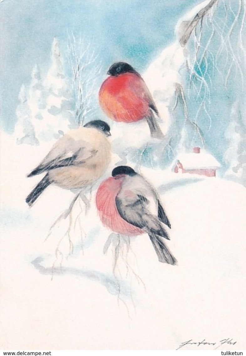 Bird - Birds - Oiseau - Vogel - Uccello - Pássaro - Bullfinches In Winter Landscape - Red Cross 1990 - Double Card - Other & Unclassified